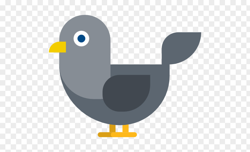 Duck Bird Columbidae PNG
