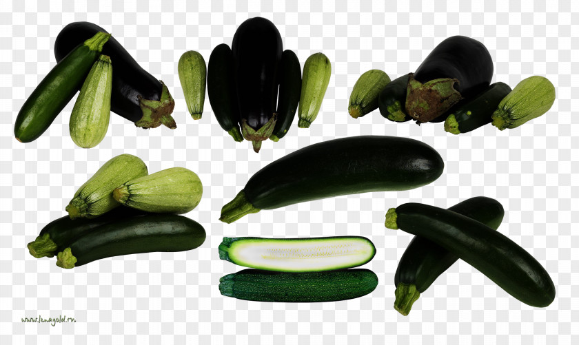 Eggplant Vegetable Food Zucchini Clip Art PNG