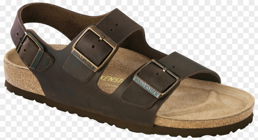Sandal Birkenstock Leather Shoe Strap PNG