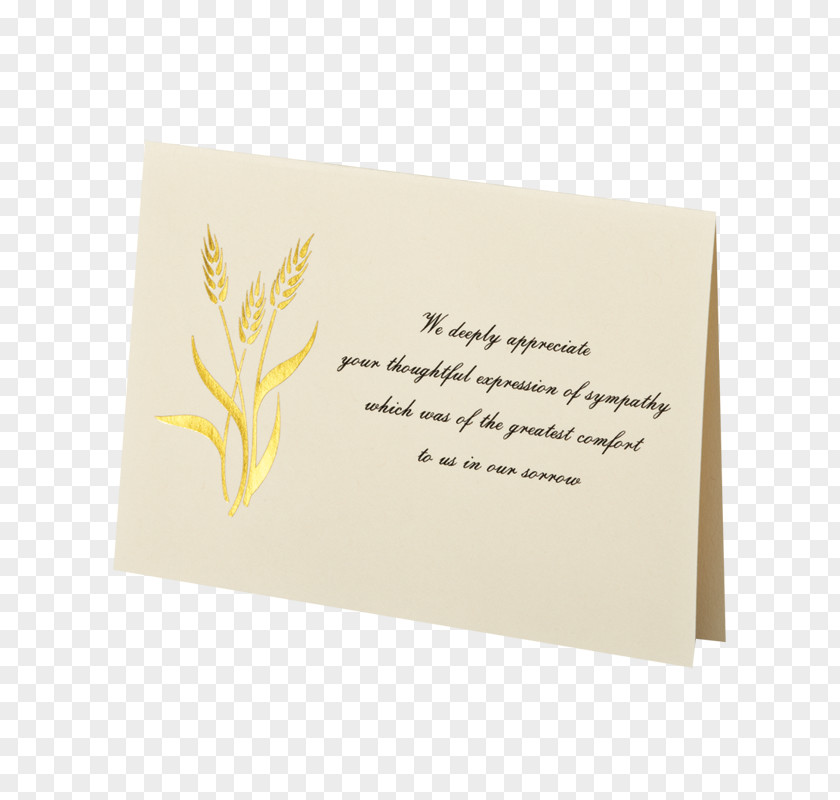 Wedding Invitation Convite Rectangle Font PNG