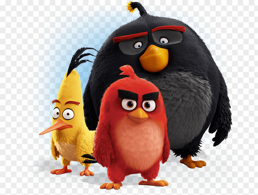 Angry Birds Movie Group PNG Group, yellow, red, and black illustration clipart PNG