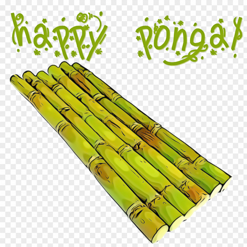 Asparagus Bamboo Plant Shoot Vegetable PNG