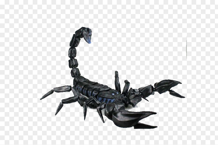 Black Metallic Luster Realistic Scorpion 3D Printing Modeling Computer Graphics PNG