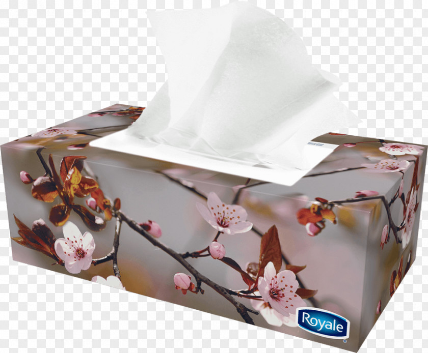 Box Tissue Paper Facial Tissues Royale PNG