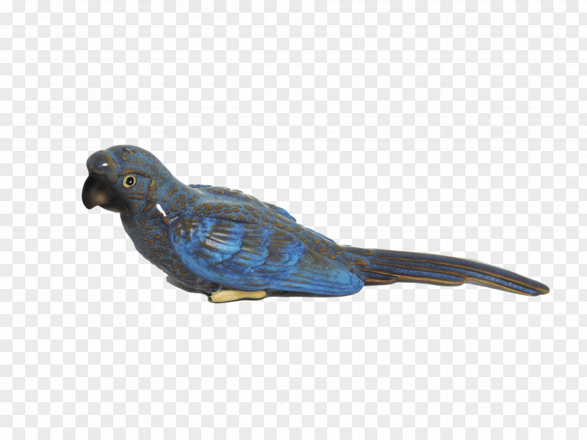 Feather Parakeet Cobalt Blue Beak PNG