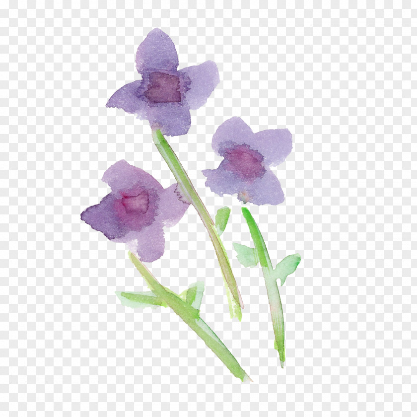 Flower Violet Plant Purple Petal PNG