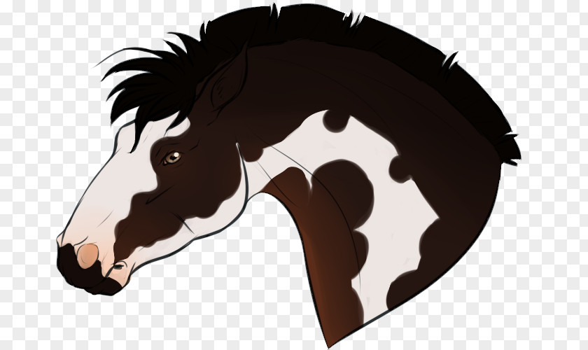 Mustang Stallion Rein Halter Pack Animal PNG