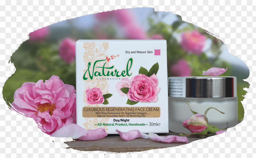 Natural Ingredients Cosmetics Rose Oil Wrinkle Cream PNG