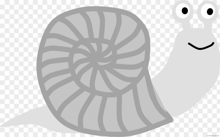 Snail Clip Art Vector Graphics Drawing Line PNG