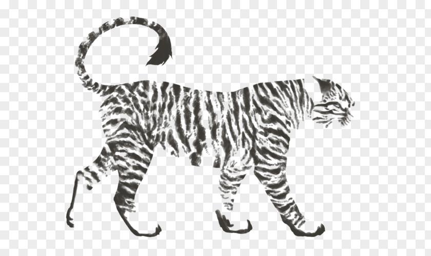Tiger Lion Felidae Cat Cheetah PNG