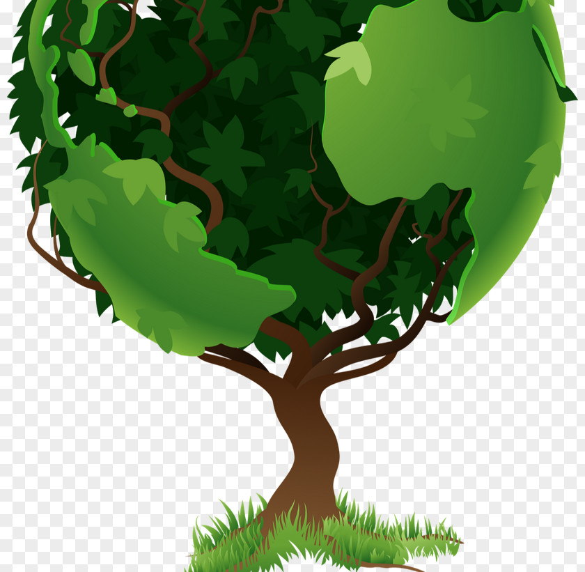 Arbol World Environment Day Natural PNG