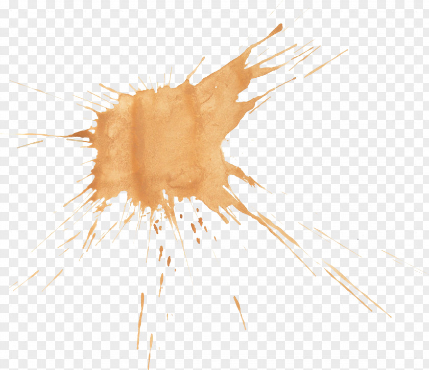 Brown Watercolor Painting PNG