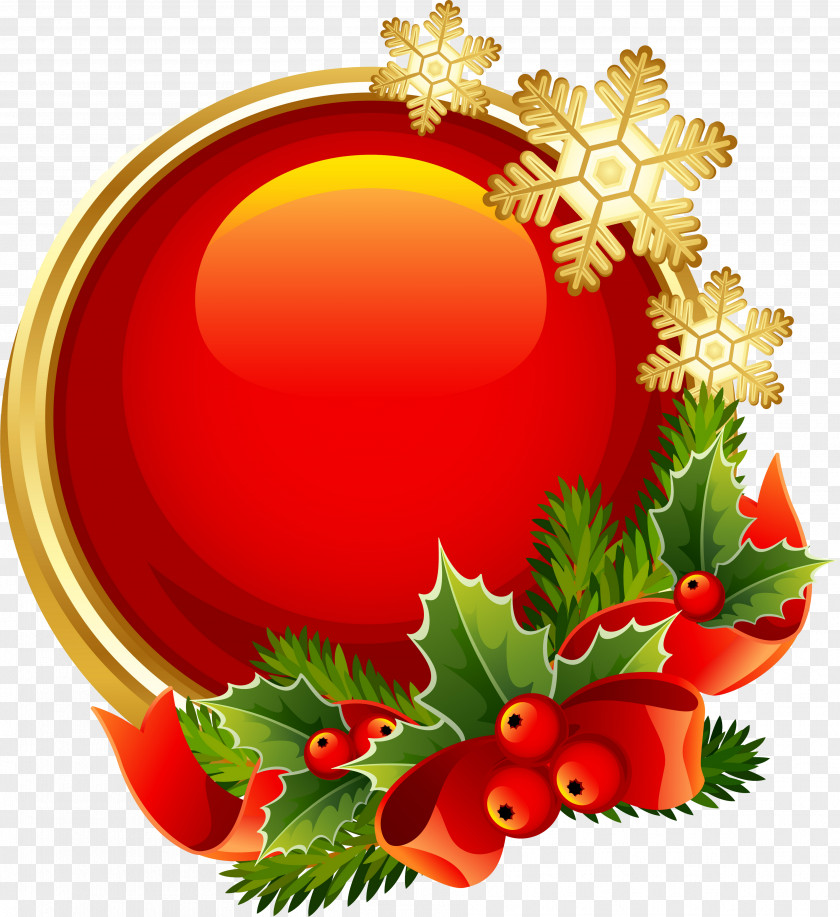Christmas Wishes Snegurochka Ded Moroz Holiday Gomel PNG