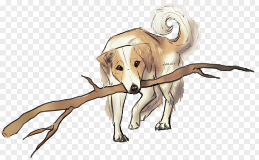 Dog Breed Saluki Snout PNG