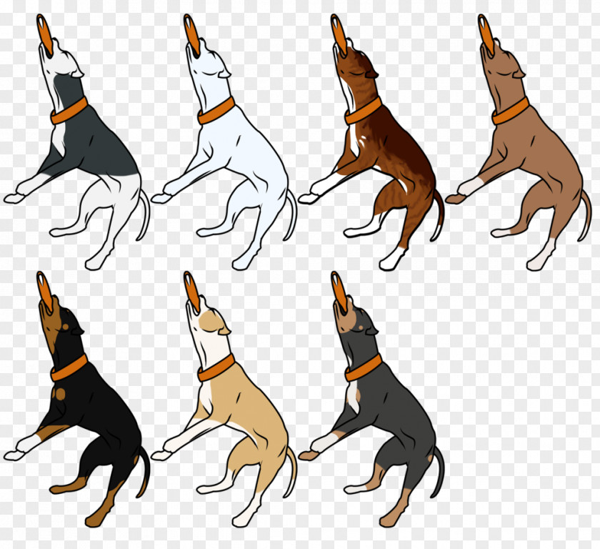 Dog Breed PNG