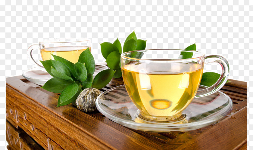 Green Tea White Oolong Plant PNG