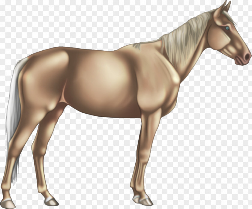 Horse Animal Figure Sorrel Mare Mane PNG