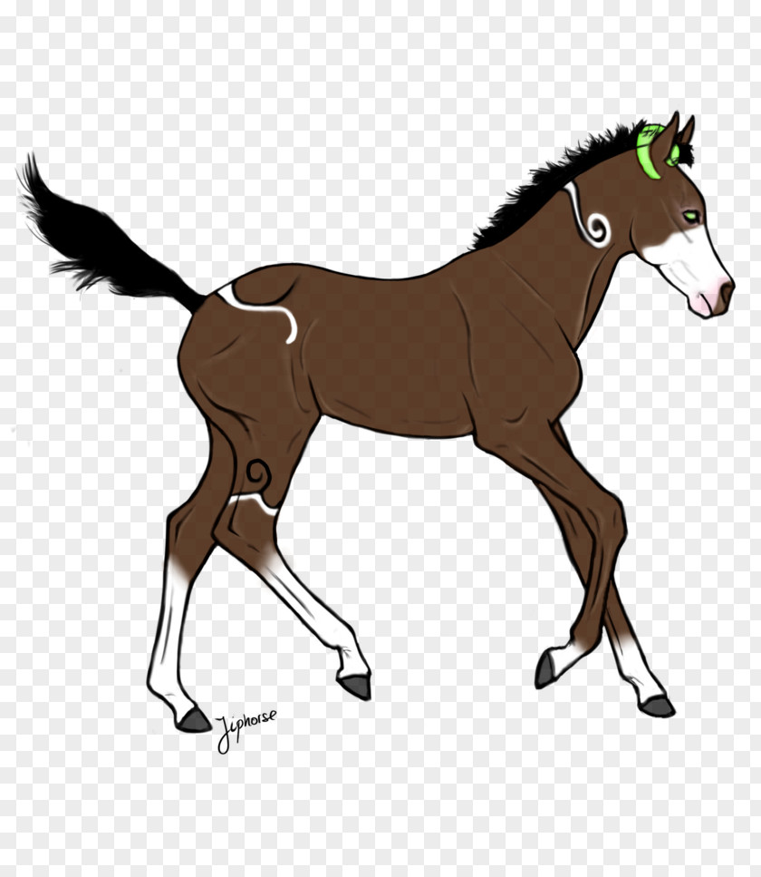 Mustang Foal Mane Stallion Pony Rein PNG