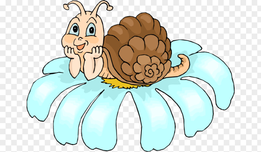 Animation Gastropods Clip Art PNG