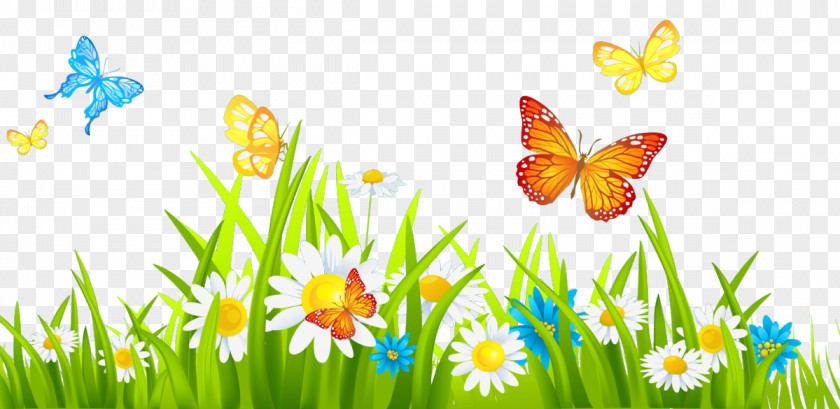 Butterfly Natural Landscape Meadow Spring Grass PNG