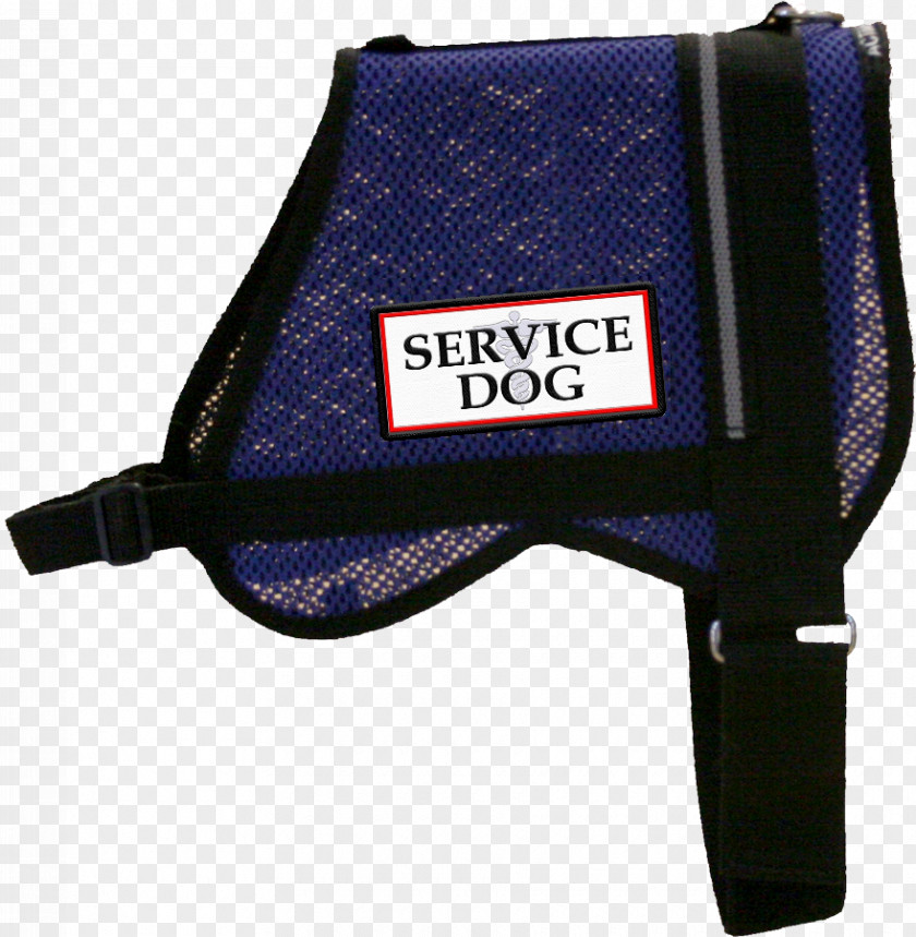 Dog Service Water Rescue Dogs Working Emotional Support Animal PNG