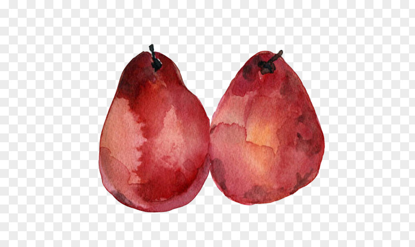 Free Hand Painting Rotten Pears Pull Material Pear Watercolor Fruit PNG