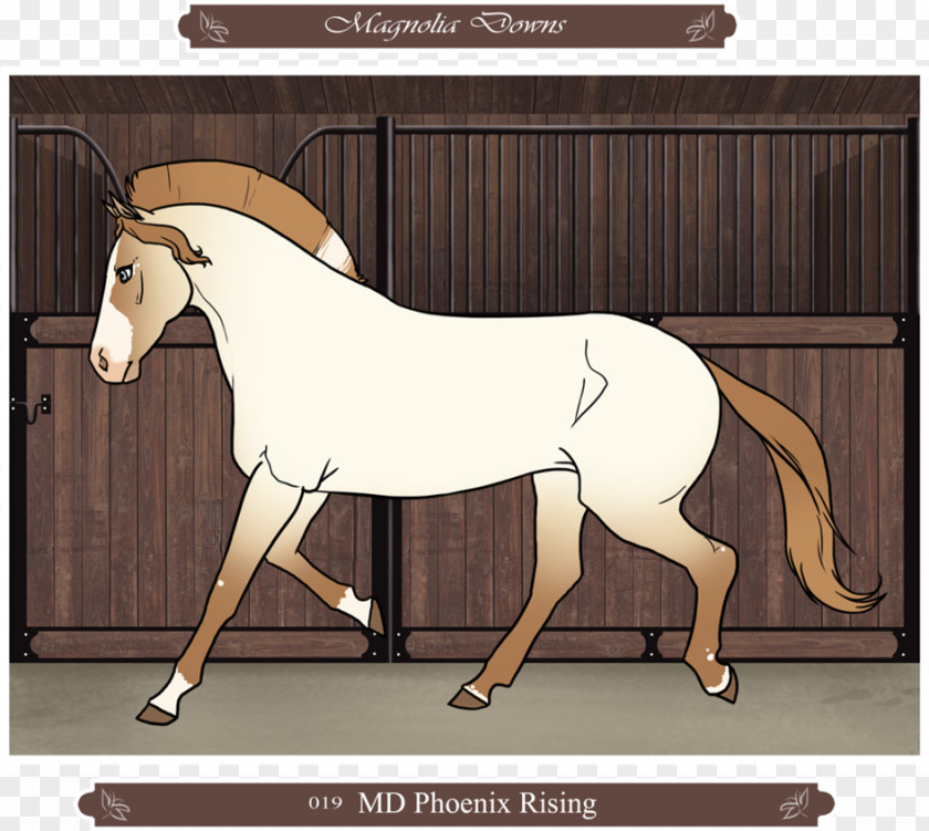 Mustang Mane Foal Pony Mare PNG