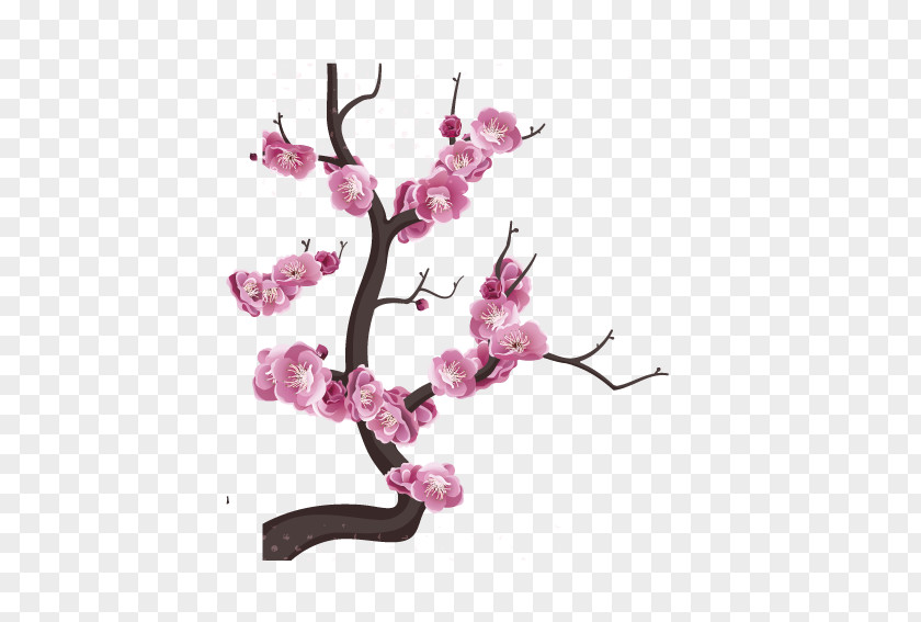 Plum Decorative Edge Royalty-free Flower Blossom Stock Photography PNG