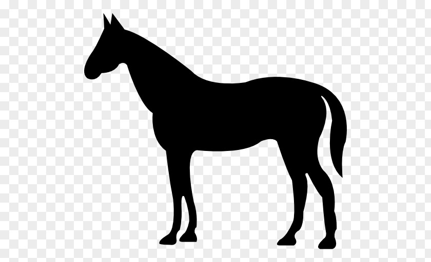 Silhouette American Quarter Horse Clip Art PNG