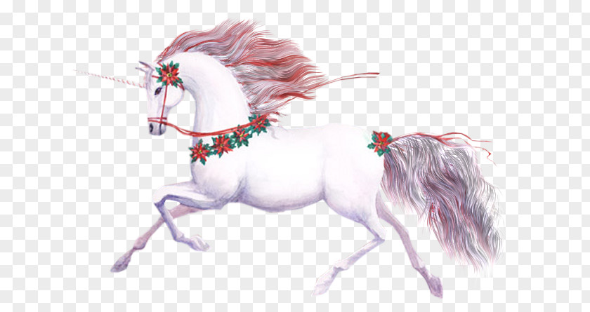 Unicorn Mustang Foal Stallion Mare PNG