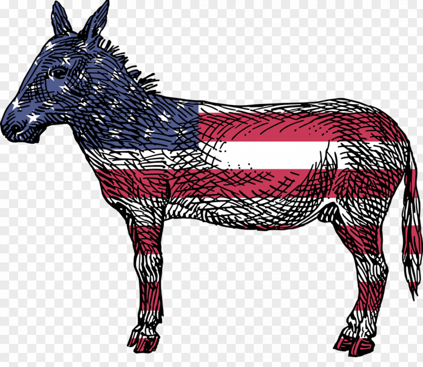 United States Reasons To Vote For Democrats: A Comprehensive Guide Republicans: Captivating Interpretation Democratic Party The Daily Wire PNG