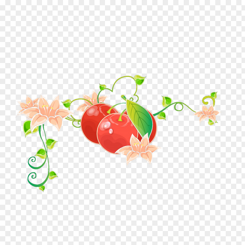 Cherry Euclidean Vector Fruit PNG