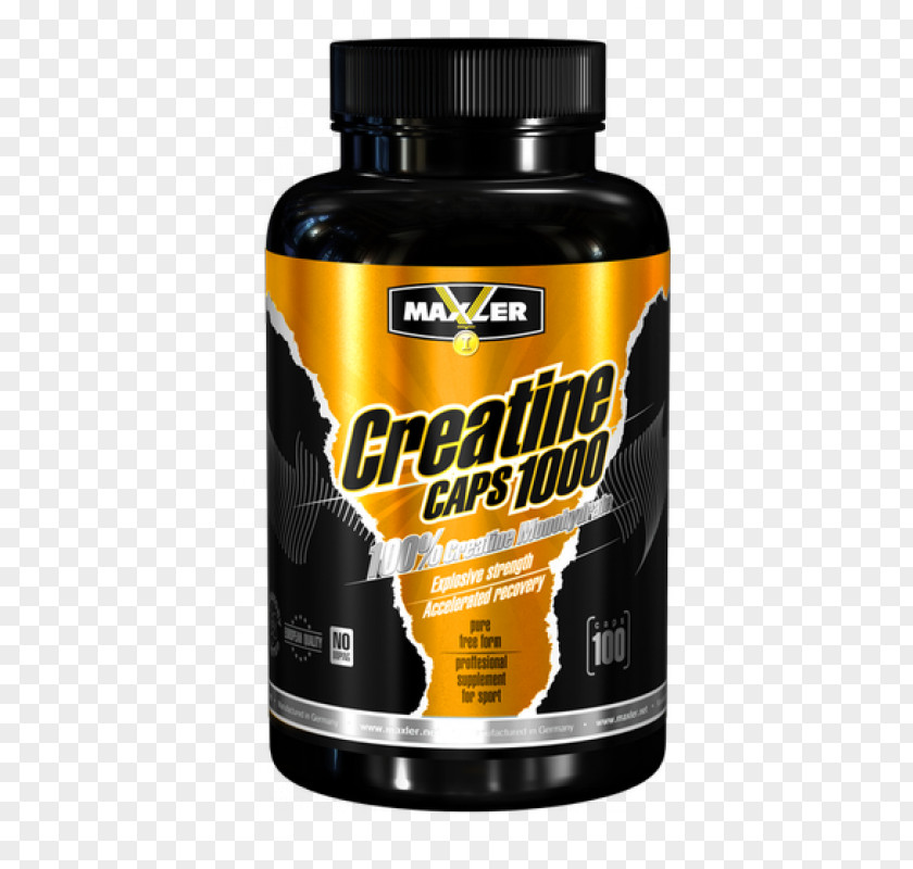 Creatine Kinase Bodybuilding Supplement Capsule Whey Protein Nutrition PNG