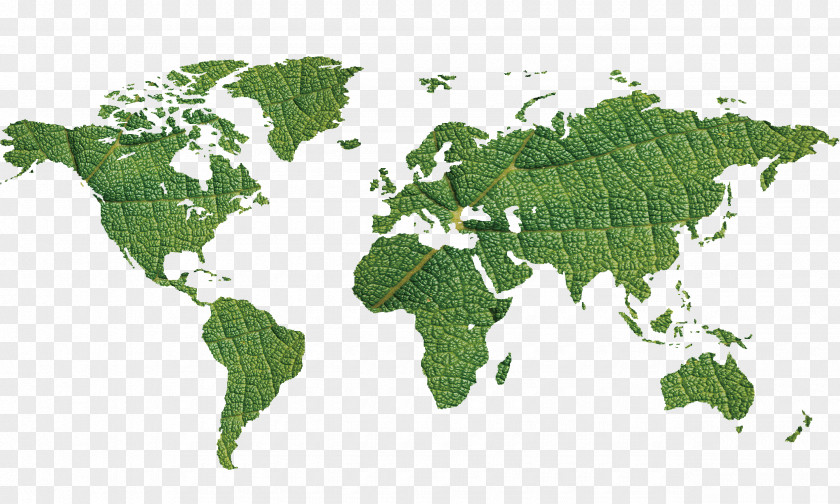 Environmental Green Map Globe World Icon PNG
