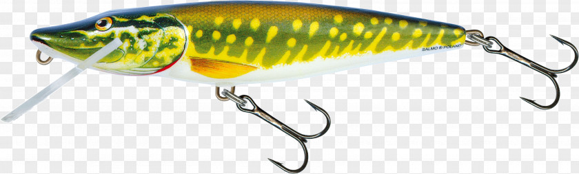 Fishing Northern Pike Baits & Lures Plug PNG