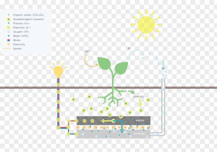 Lamp Light Beam Living Plant Electricity Energy PNG