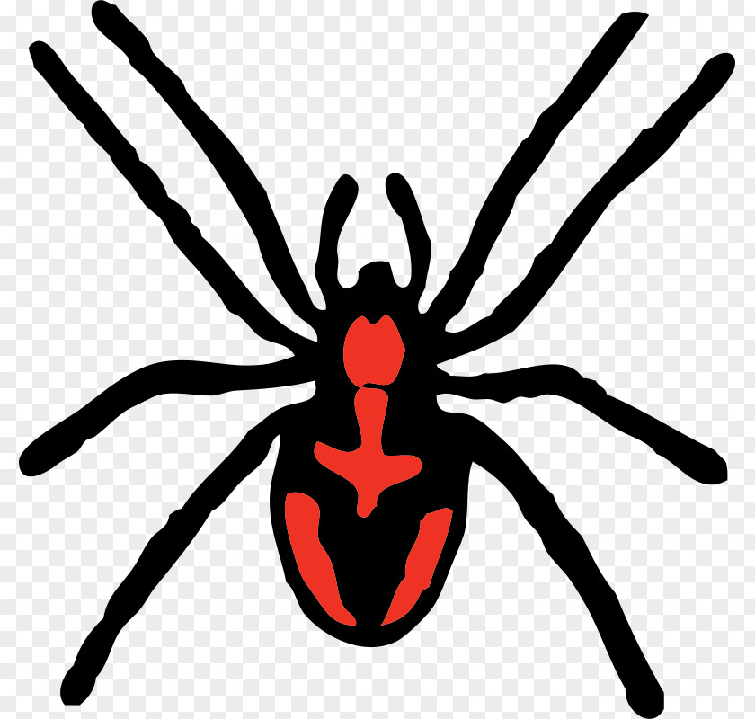 Red Spiders Pictures Redback Spider Clip Art PNG