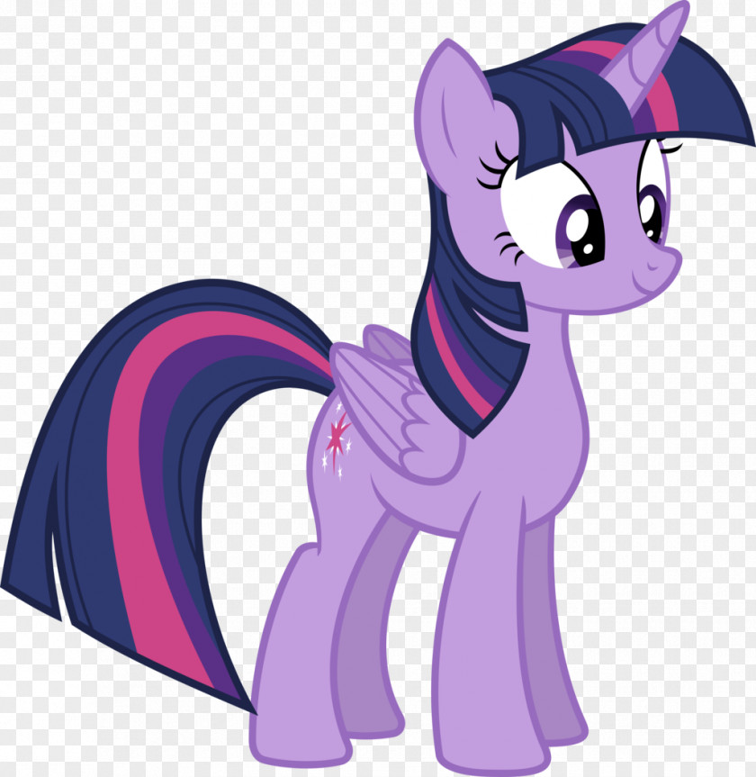 Twilight And Homecoming Sparkle Rainbow Dash Pony Spike Rarity PNG