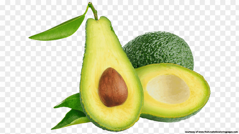 Avocado Fruit Vegetable Juice Guacamole PNG