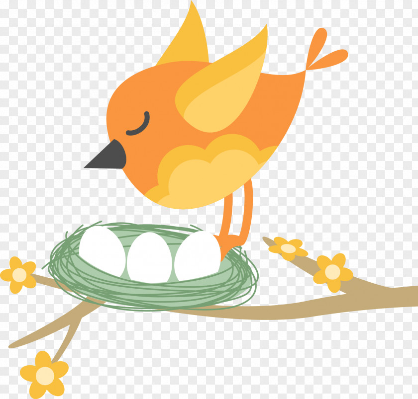 Branches On The Nest Bird Cartoon PNG