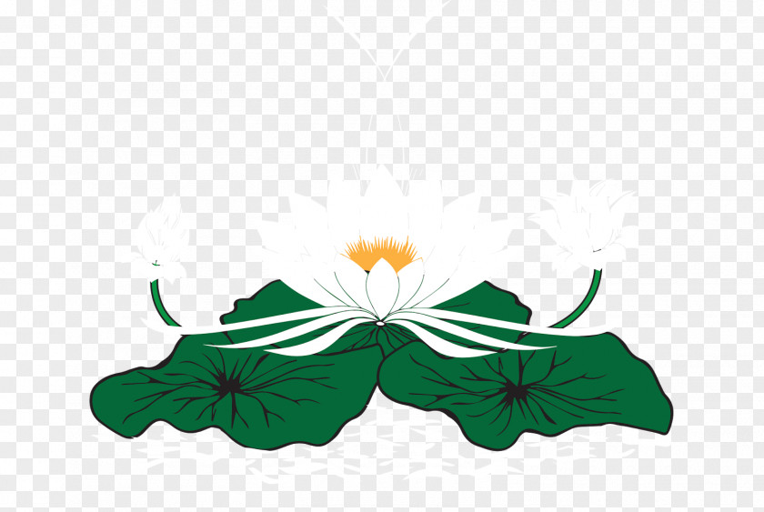 Flower Petal Logo Clip Art PNG