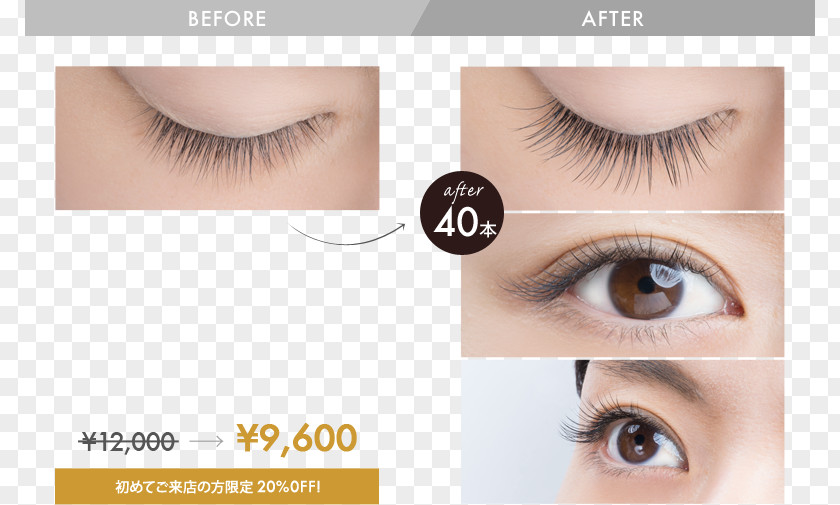 Hair Eyelash Extensions Eye Shadow Artificial Integrations プロケアアイラッシュ PNG