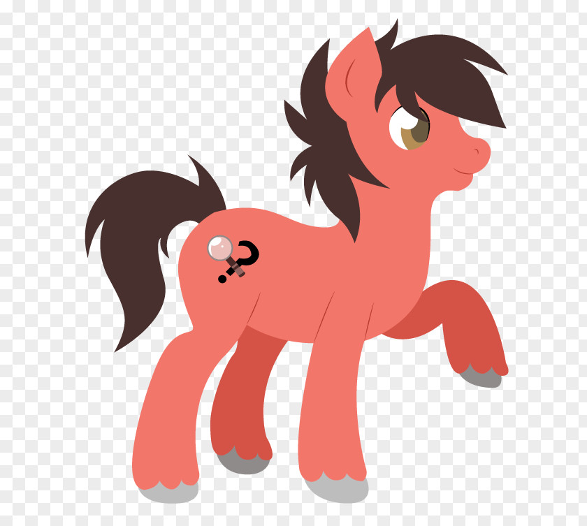Mustang Pony Mane Canidae PNG