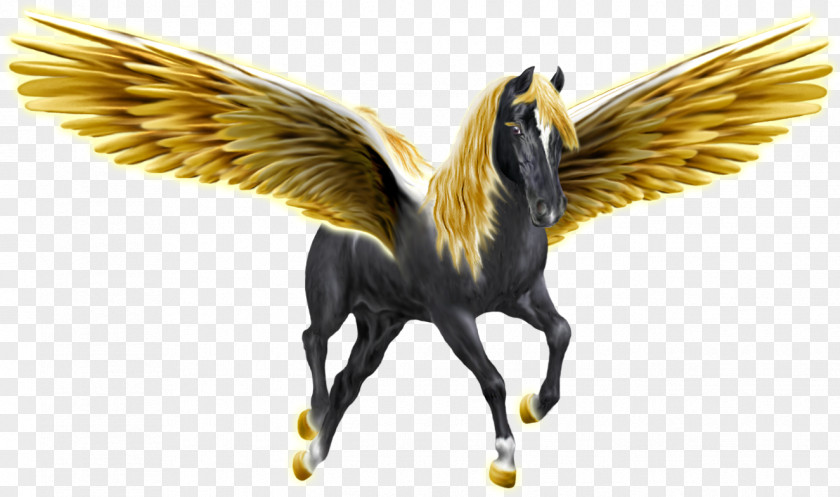 Pegasus Beak Horse Fauna Feather Wing PNG