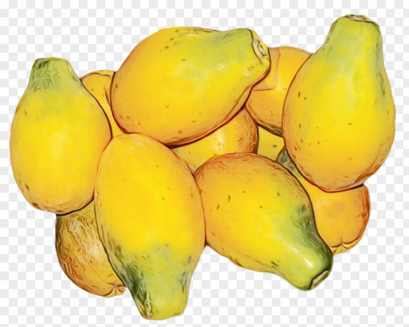 Plant Yellow Watermelon Cartoon PNG