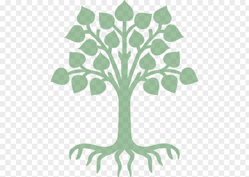 Tree And Roots Clipart Plant Stem Flower Genealogy Clip Art PNG
