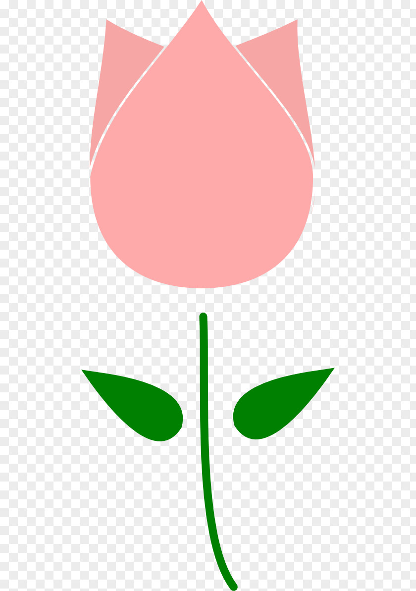 Tulip Image Flower Free Content Clip Art PNG