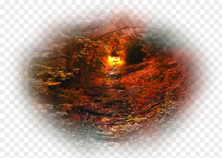 Autumn Desktop Wallpaper Image File Formats PNG