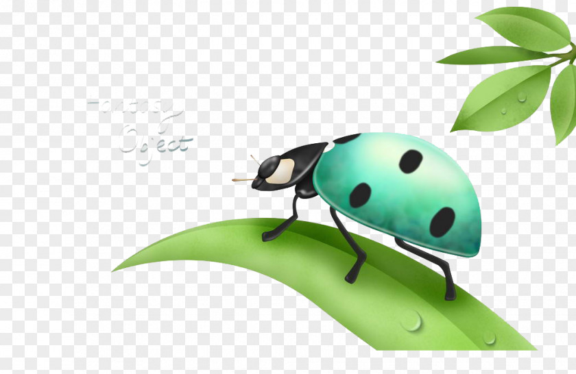 Cartoon Beetle Illustration PNG