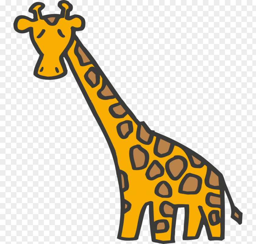 Giraffe Baby Giraffes Felidae Drawing Clip Art PNG